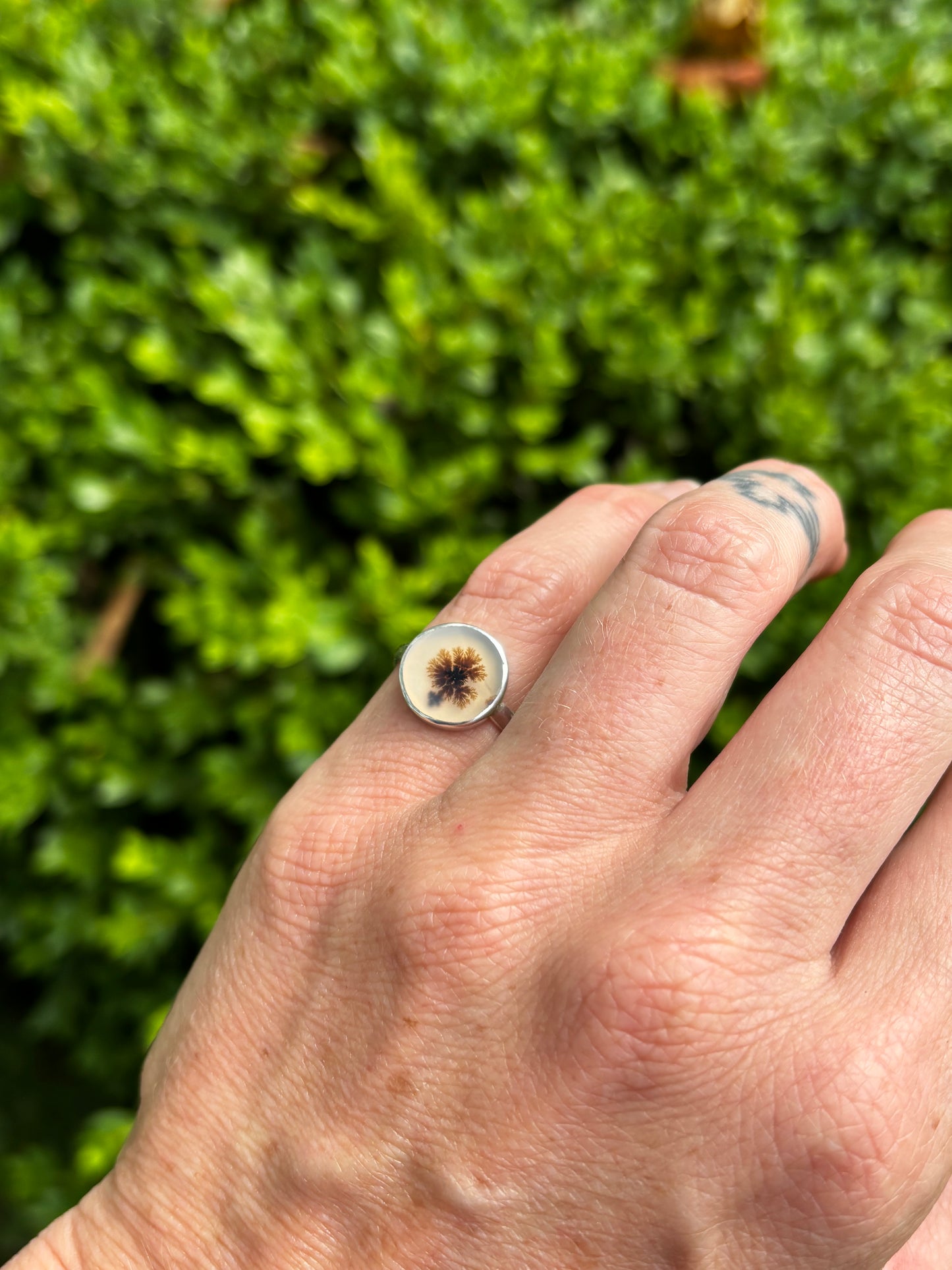 The Plentitude Ring