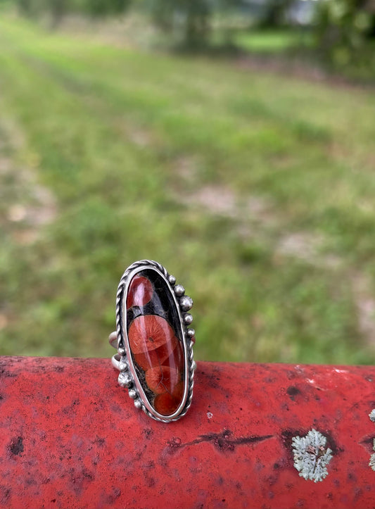 Peanut Obsidian Ring