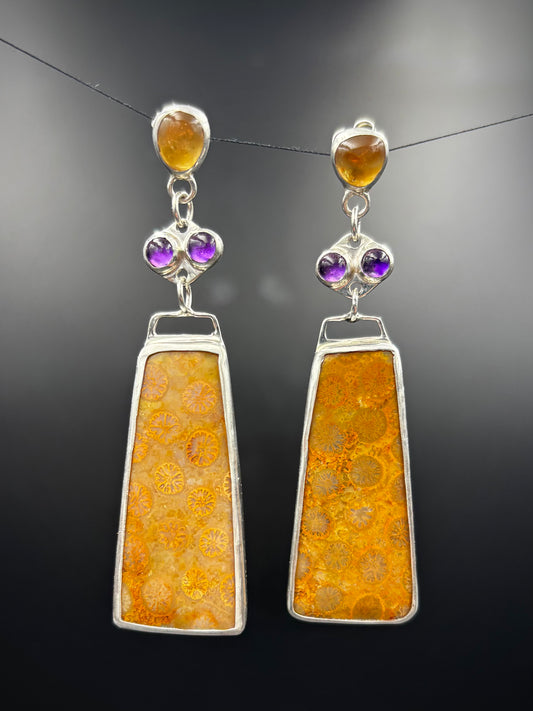 Fossilized Coral Earrings