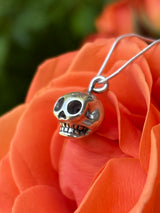 Calavera de Rodrigo