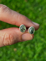 The Prophecy Studs