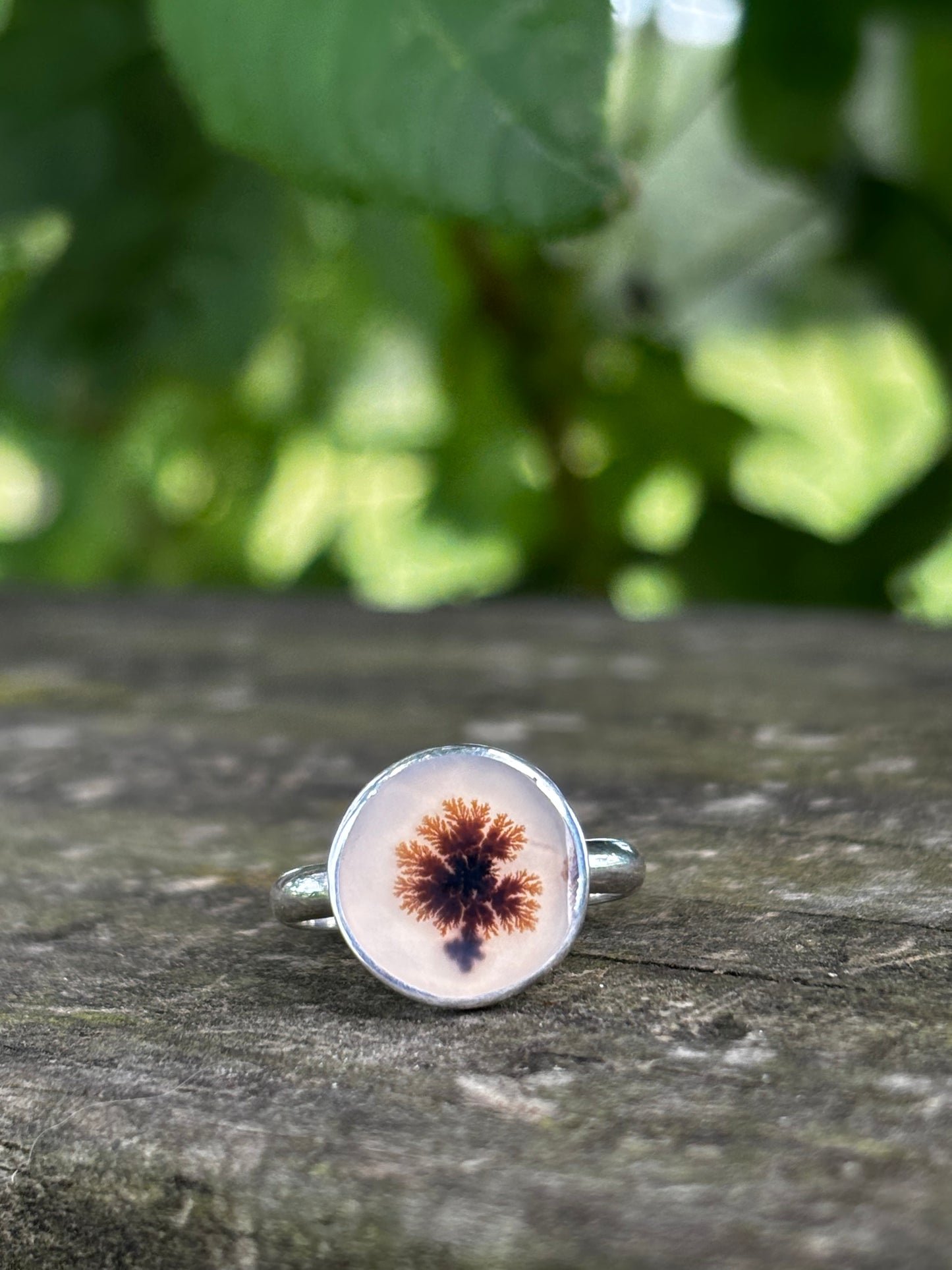 The Plentitude Ring