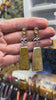 Fossilized Coral Earrings