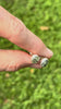 The Prophecy Studs